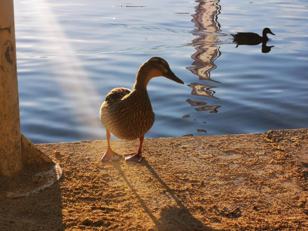 Ferienparadies Gutounik Portschach am Worthersee Bagian luar foto